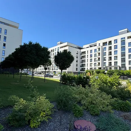 Mizumi - Coresi Brasov