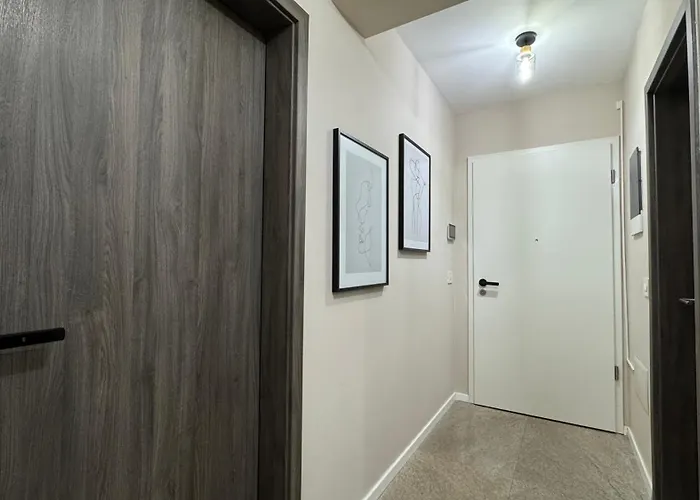 Mizumi - Coresi Guest house *