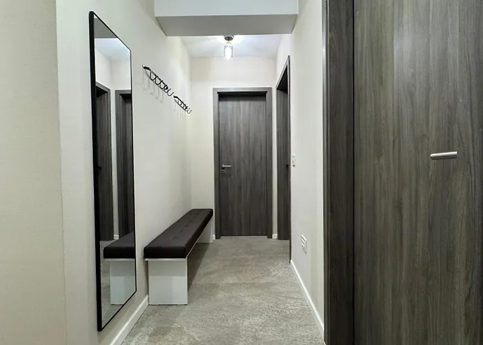 Mizumi - Coresi Brasov