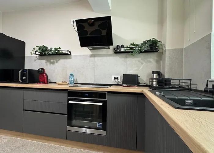 Guest house Mizumi - Coresi Brasov