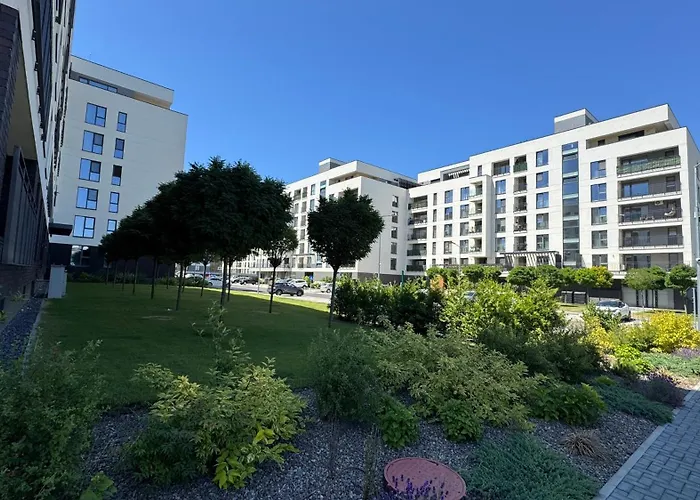 Mizumi - Coresi Brasov