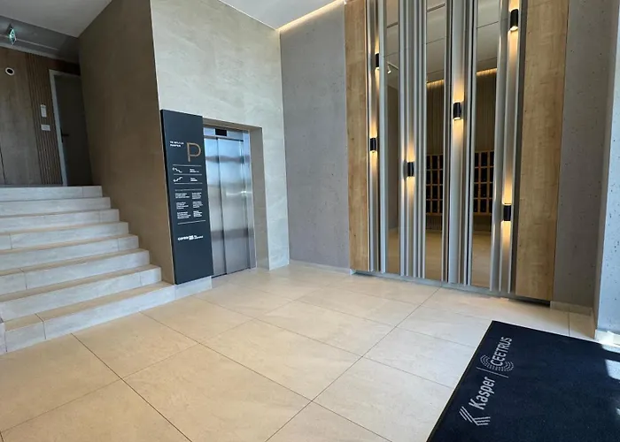 Mizumi - Coresi Brasov